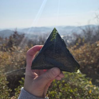 瀬戸の町を眺め🍙