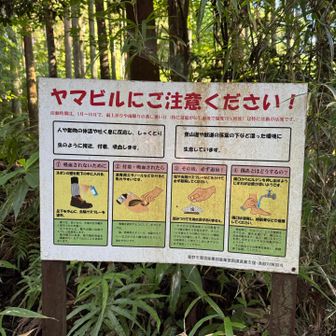 出会いませんでした。
が、撃退用の塩は持参。