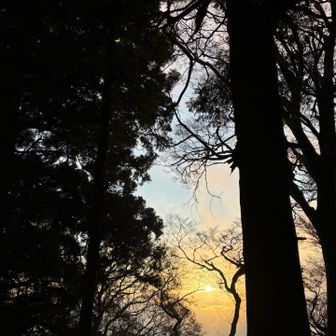 山上駅近くまで行くと、初日の出が見えました✨