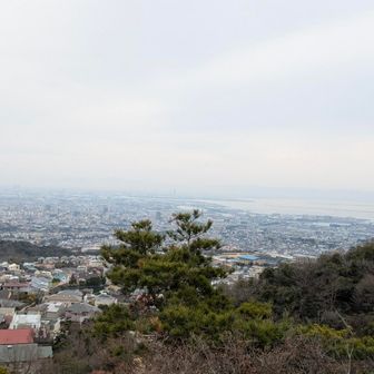 大阪湾とあべのハルカスも確認🫡