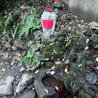 ありがとうございました