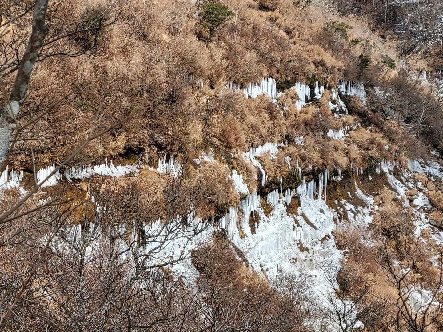 だいぶ近付いた