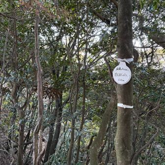 ここまで来れば大丈夫