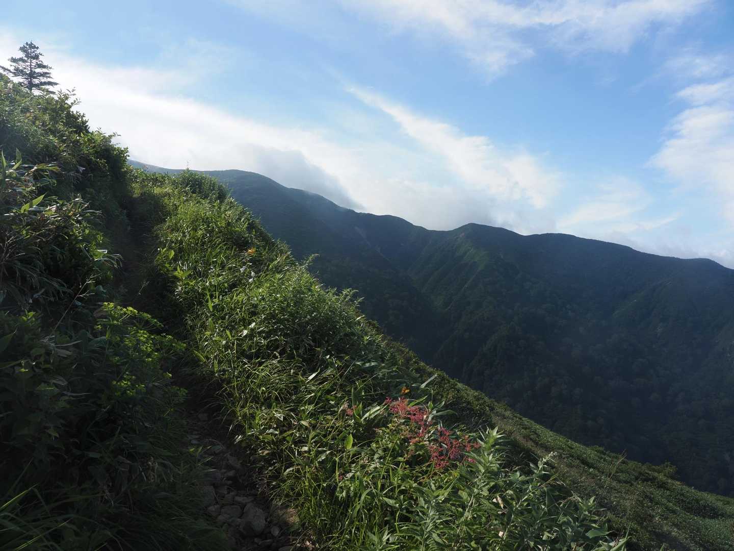 やっと稜線に出たよ、、寝そうだよ、、