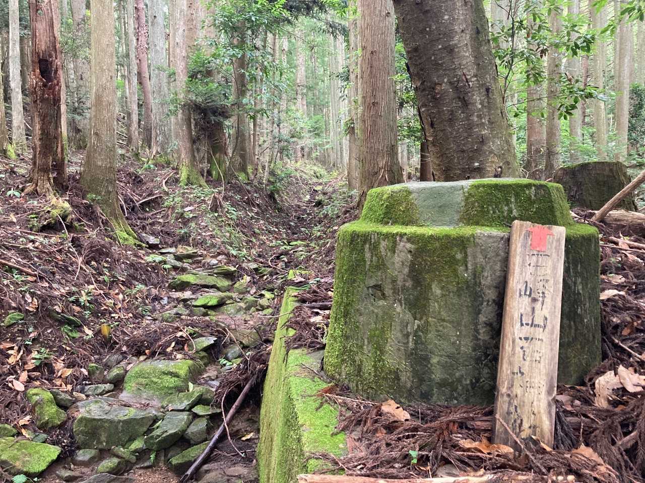 苔むした感じの道で、湿度100%😱
たいして登っていないのに息苦しいです😅