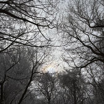 やっと太陽が出てきました
伏見林道が凍結してました🥶