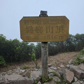 りつ