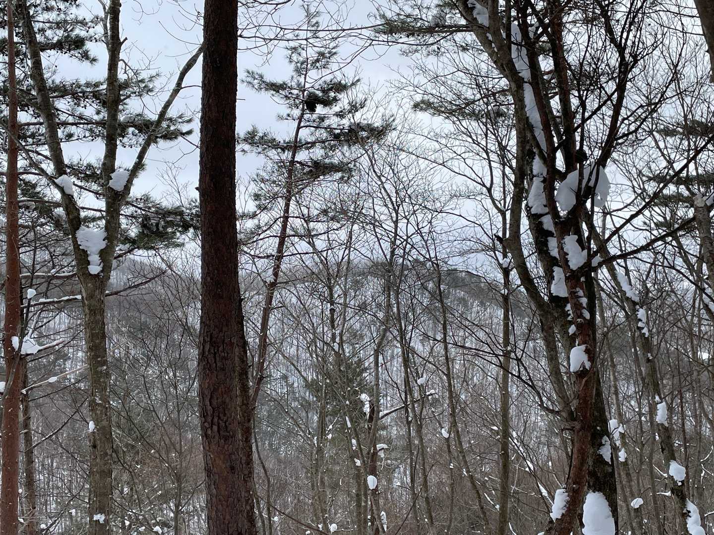 三角山の形がはじめてわかりました