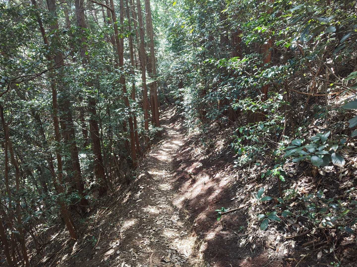 帰りは巻き道で