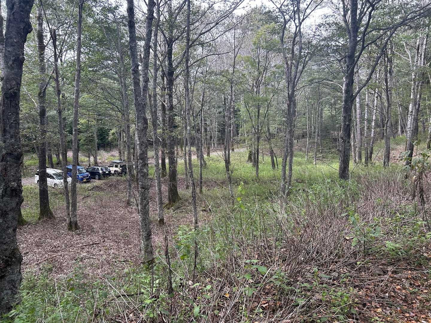 駐車場🅿️見えてひと安心
無事下山できました♪