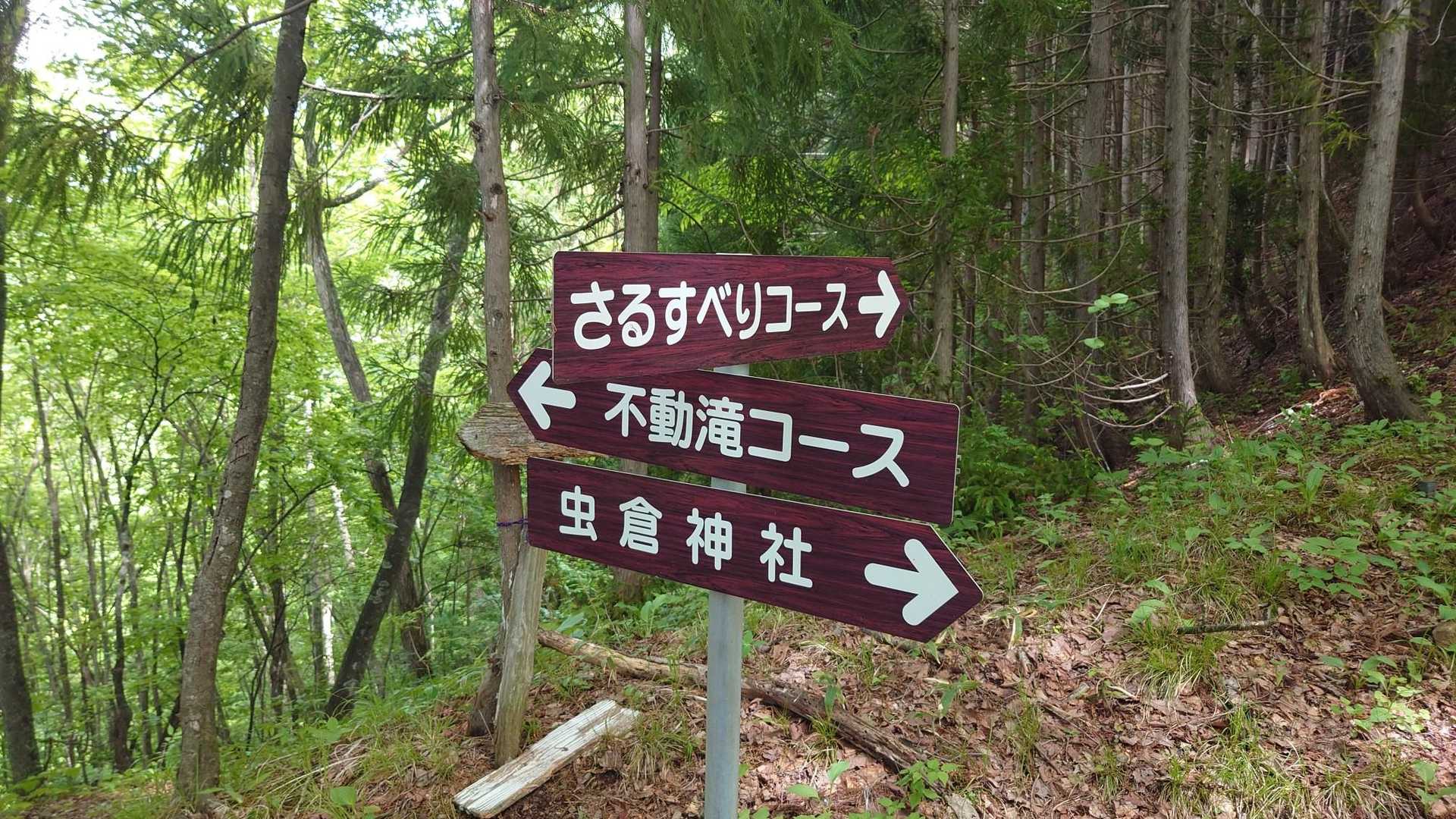色々なルートがあるみたいです