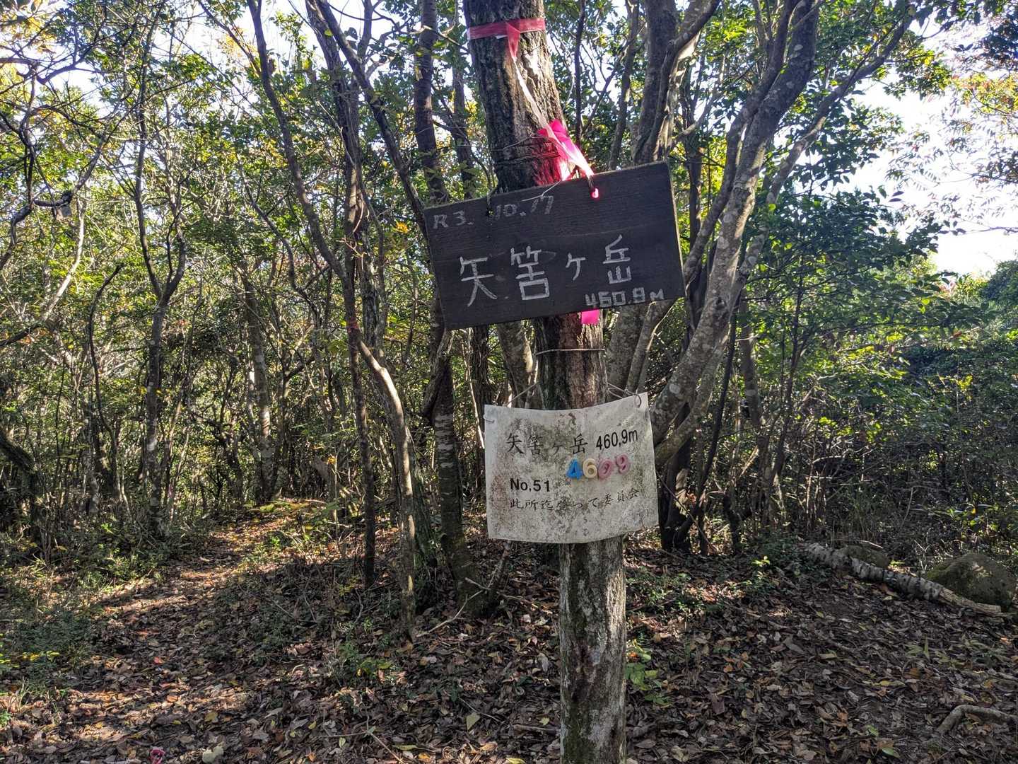 矢筈ヶ岳山頂に到着。眺望なし