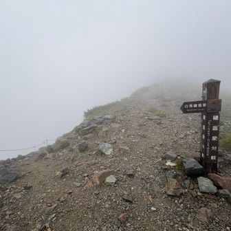 分岐を温泉小屋へ下ります

直進は天狗山荘へ
