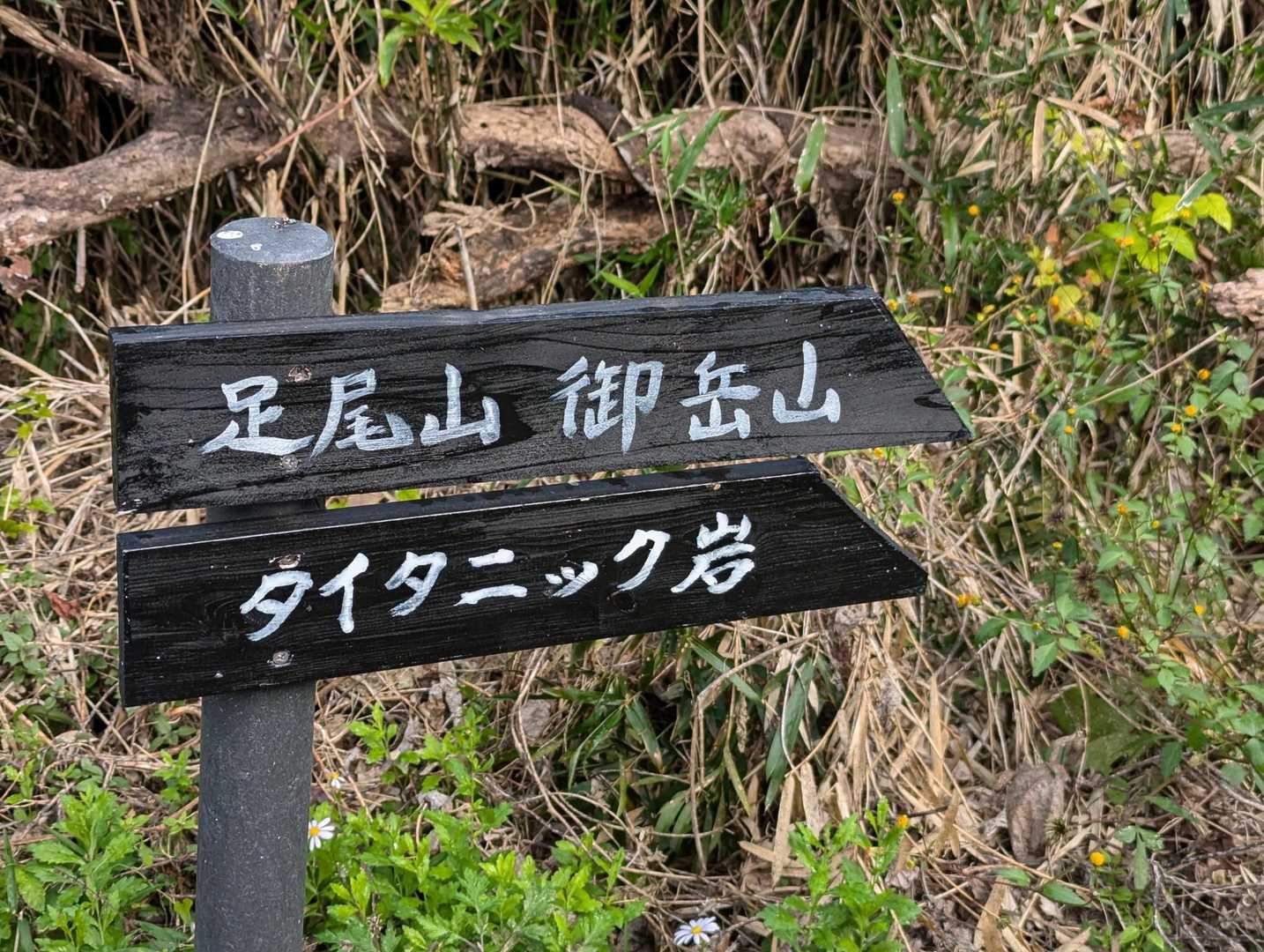 タイタニック岩への標識が追加されましたね👌