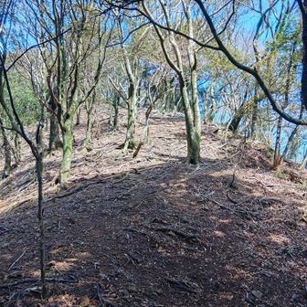 横道にそれてピストン
激下りで下りたので、激登り🧗