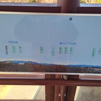 丹沢山系に専修大学紛れてるの草