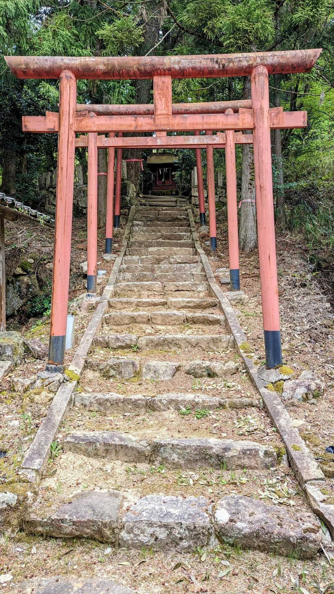 たくさん祀られていますね