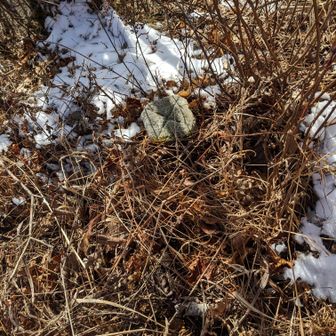 三角点。
新ためて、二ツ岳に向かう👍。