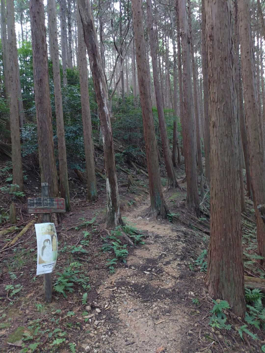 高取城登山道入口-高取城跡入口-高取山 往復コースの写真