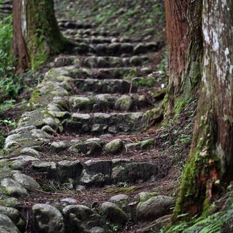散々写真を撮ってやっと登山開始