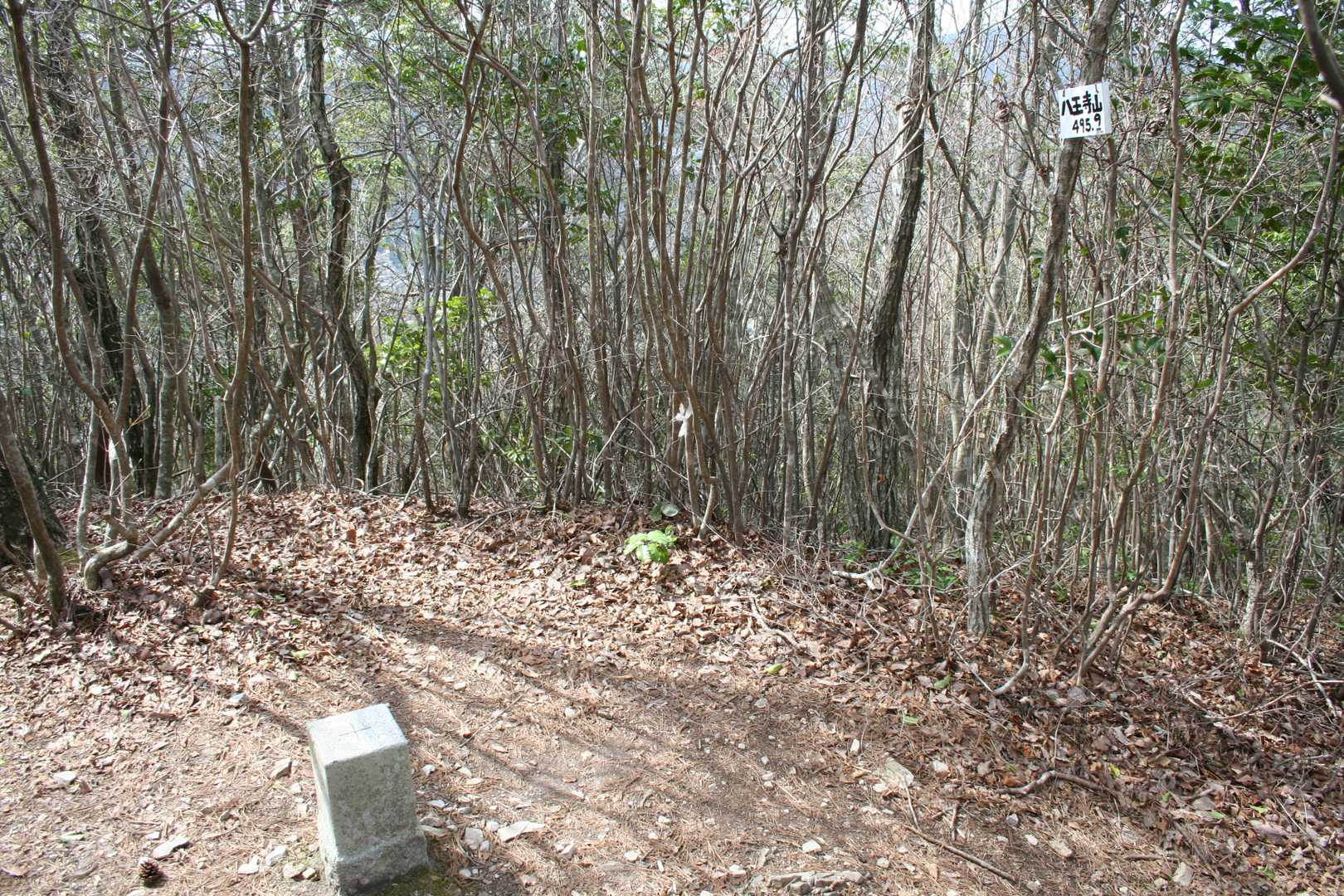 八王子山
展望無し🤣