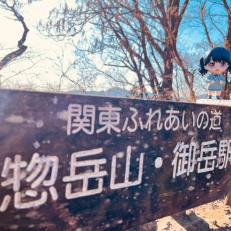 今日は、ねんどろいども持っていきました