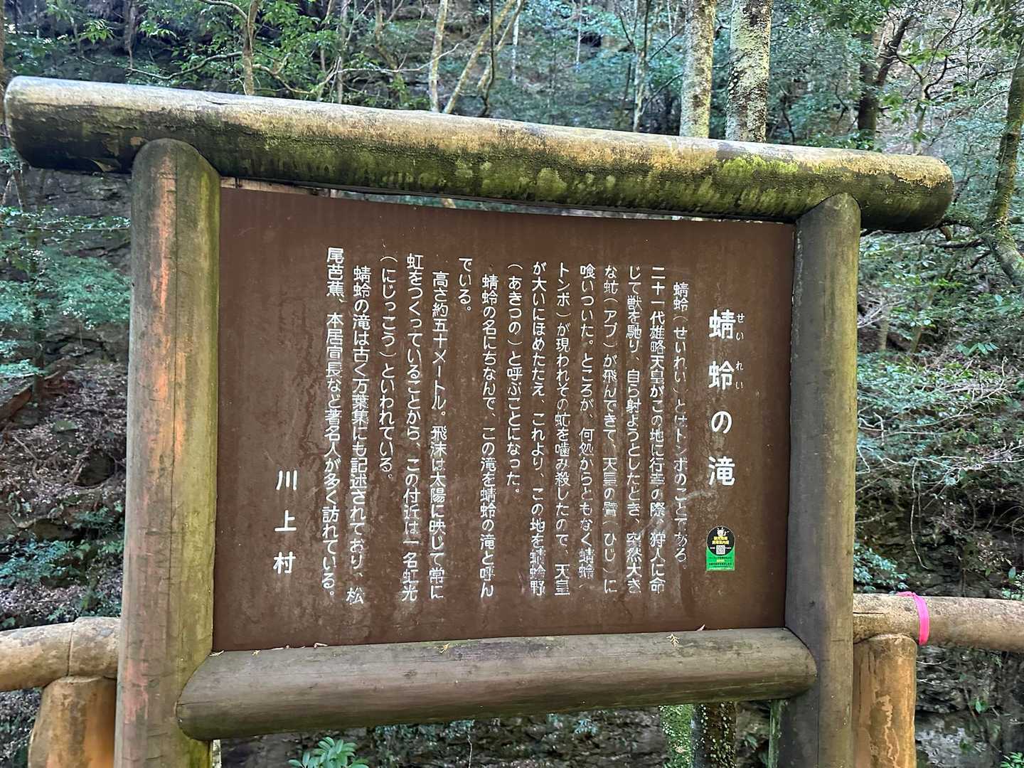 🤔ふむふむ…