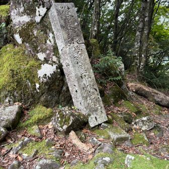 分岐に到着！
正式に上塚山をあきらめる👍