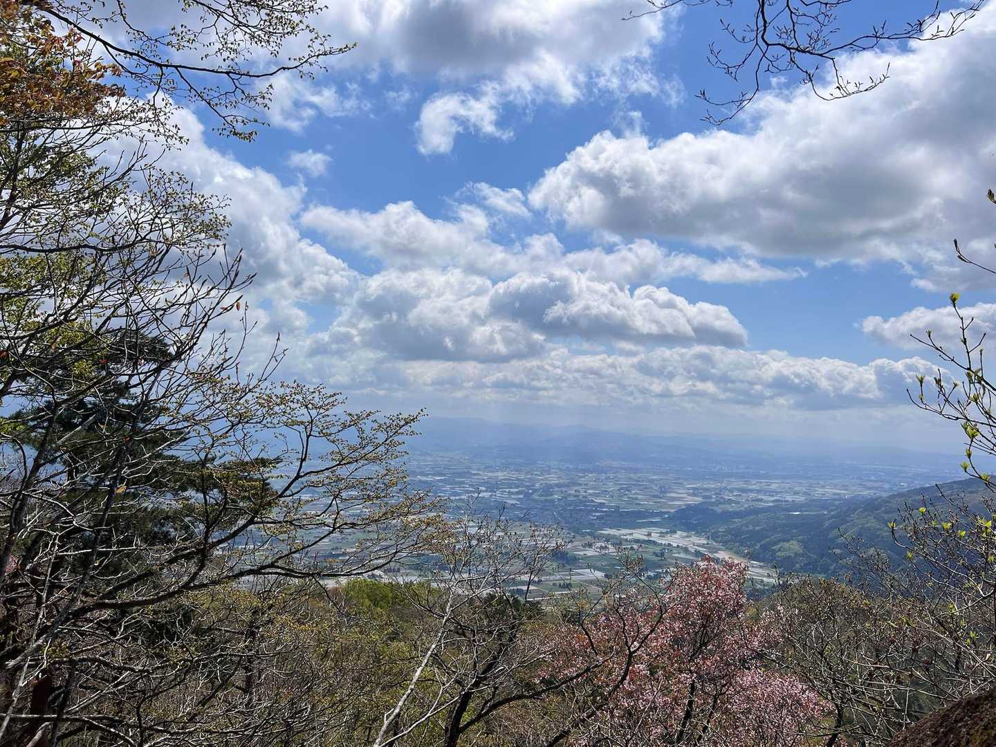 展望台からの景色