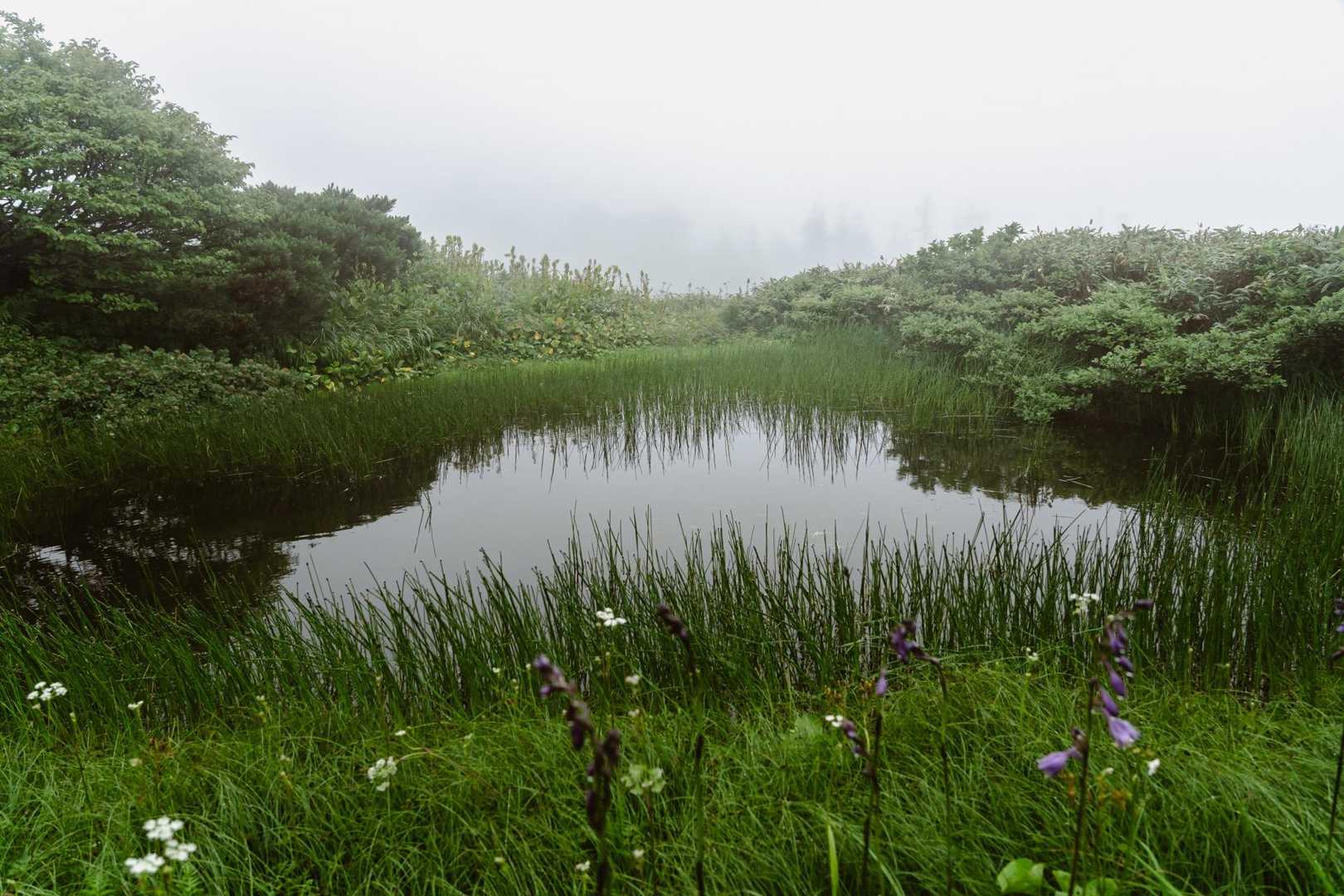 八甲田大岳登山口（酸ヶ湯）-八甲田山 往復コースの写真