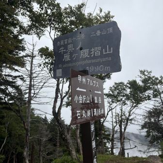 牛奥ノ雁ケ腹摺山（うしおくのがんがはらすりやま）　日本一長い名前の山だそうです。