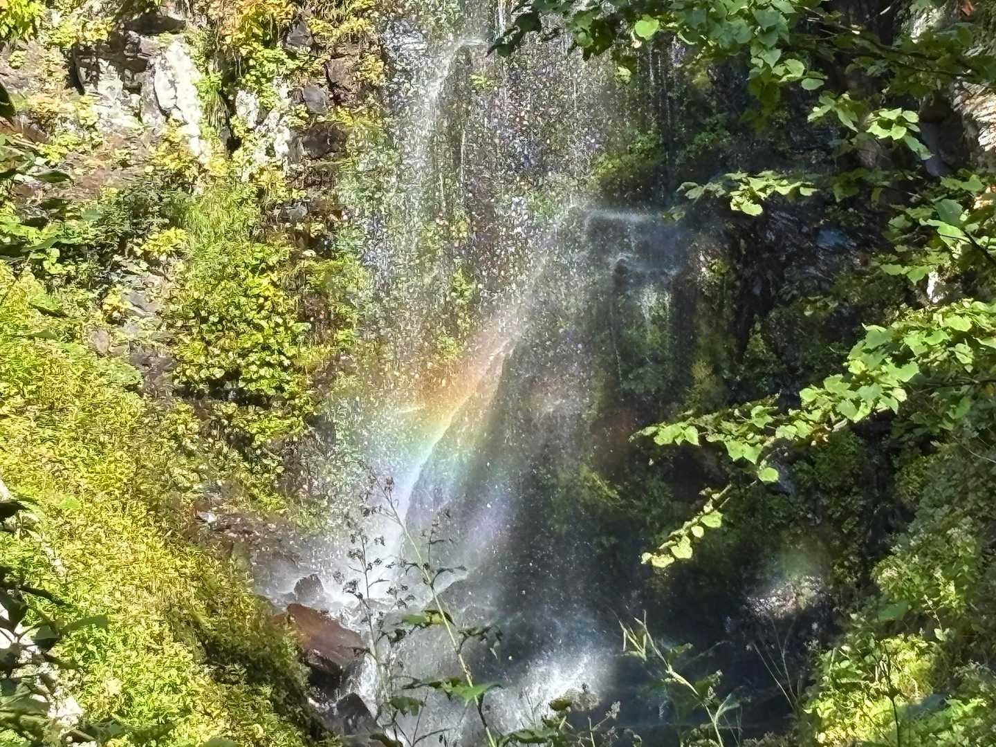 虹🌈をアップ