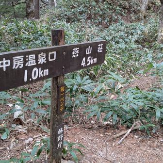 第一ベンチまで2時間かからず、すごいスピードで下ってきた。