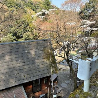 ここは釣り堀
家族連れで賑わってました