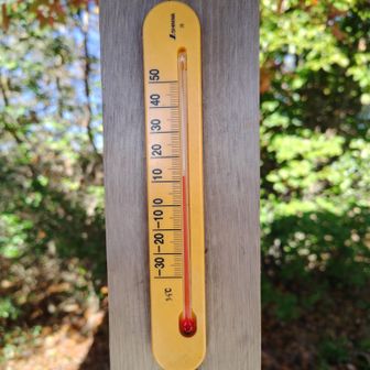 12℃
山行には、寒くもないし、暑くもなくて快適‼️