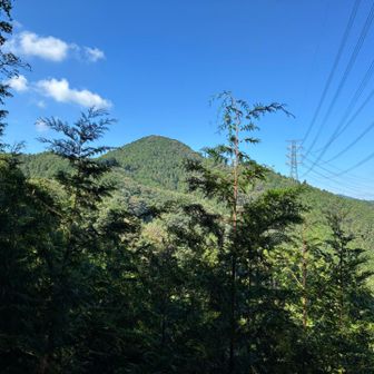麻生山