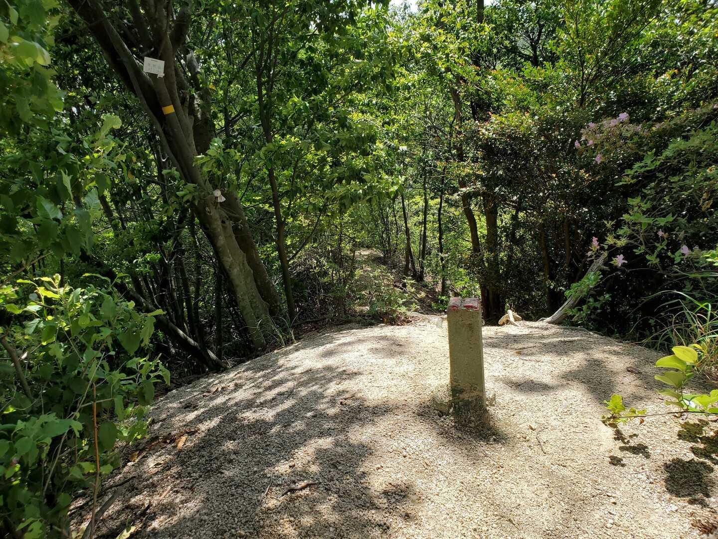 宗円山の写真