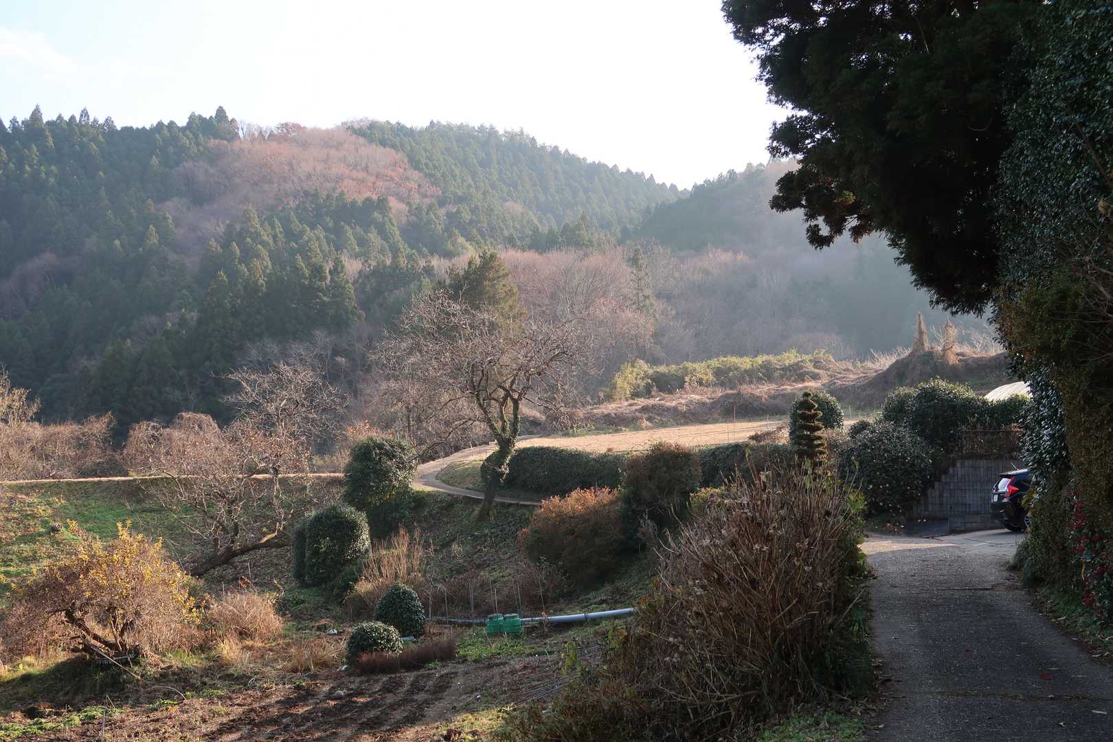 今日は小瀬富士への登山口から。