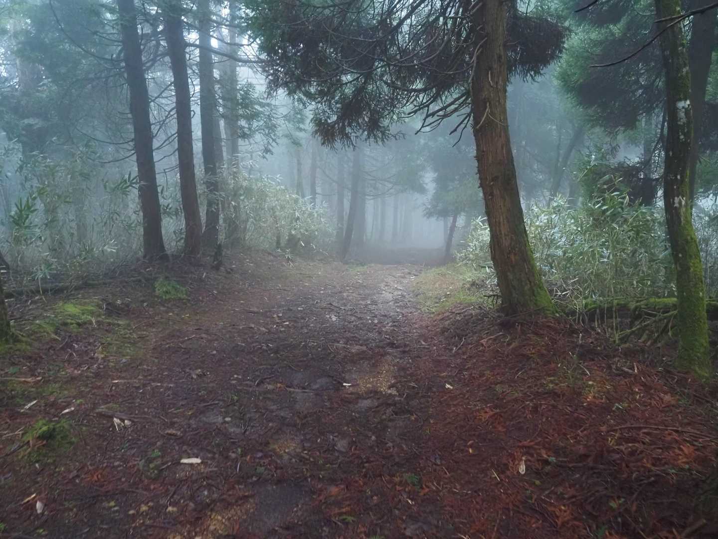 船木山分岐から、先行の方が一緒に下山してくれました。心強かった！！