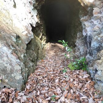 砥石を掘ったトンネル