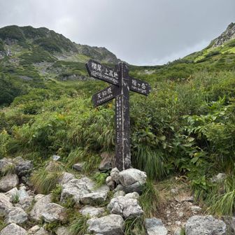 やっと登山道？😆