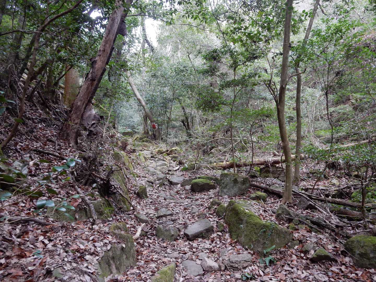 虚空蔵寺への登山道