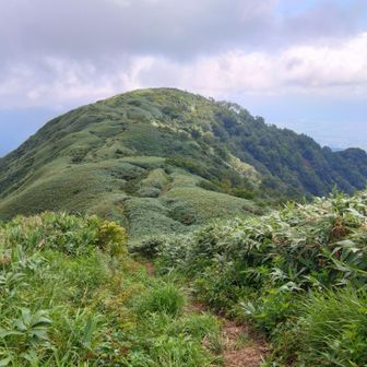 晴れてきたので写真多め