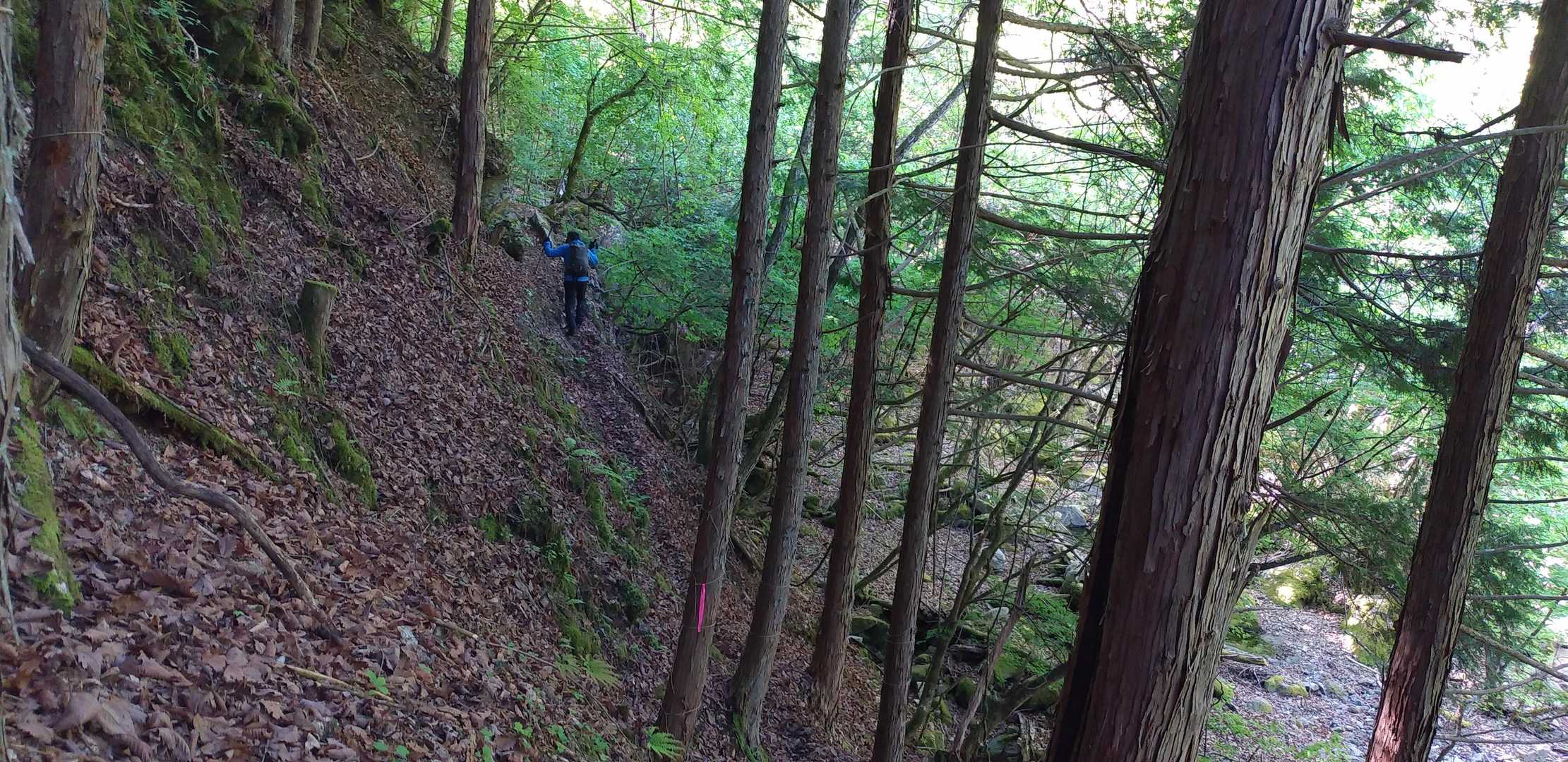 この後、
地味～に恐いトラバースが続きます💦