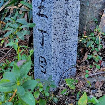 道端に目をやると五丁目の丁目石が👀 何丁目まであったのだろうか?