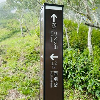 分岐