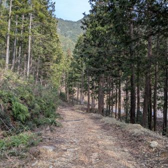 駐車場が見えてきた。行く道