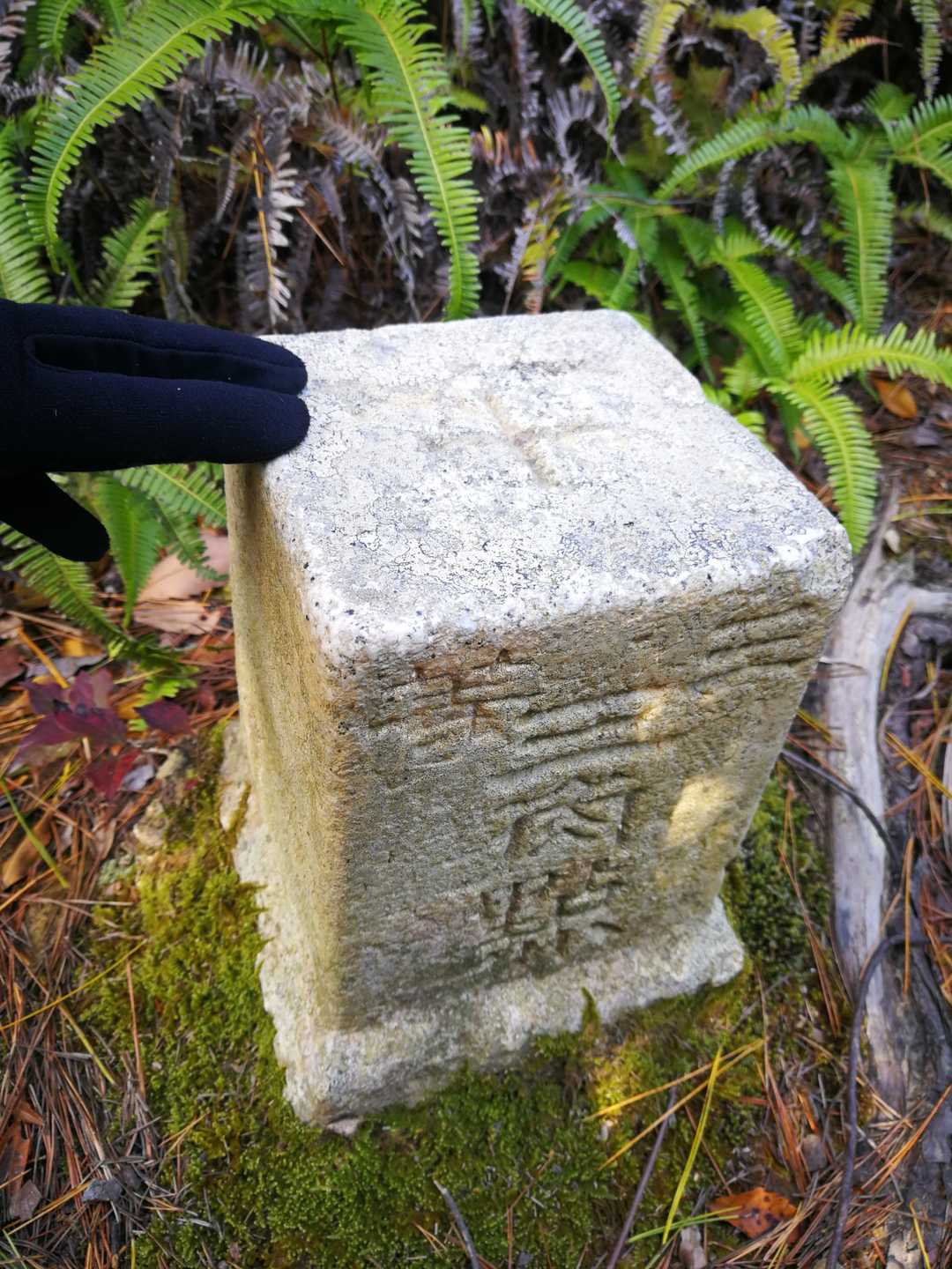 三等三角点高山175.41㍍