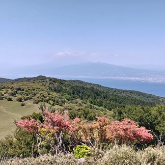 金冠山にて
富士山と愛鷹山