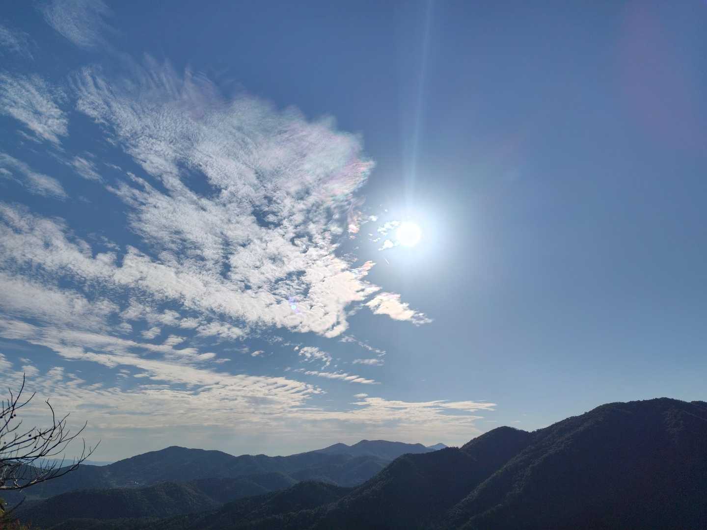 ほらな！